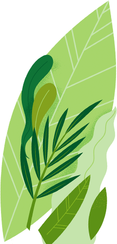 DailyBox – Gotowe Zestawy Do Gotowania