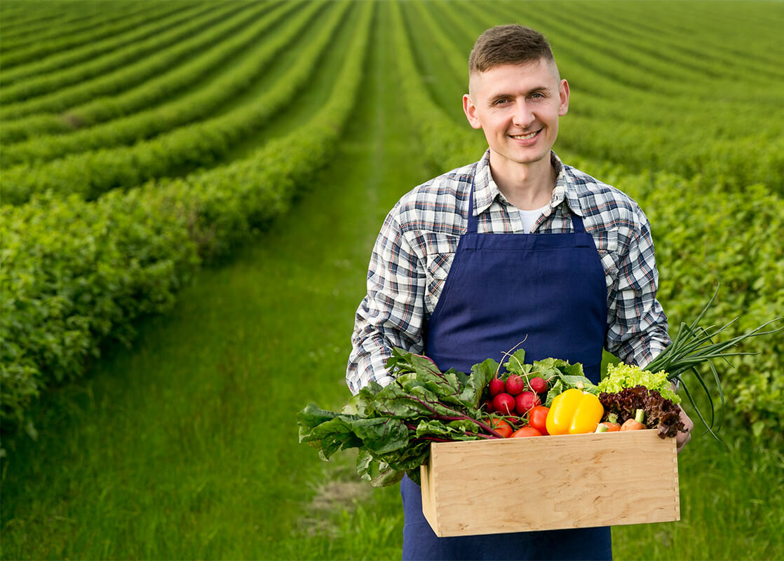 DailyBox – Gotowe Zestawy Do Gotowania