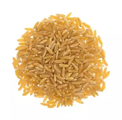 makaron orzo
