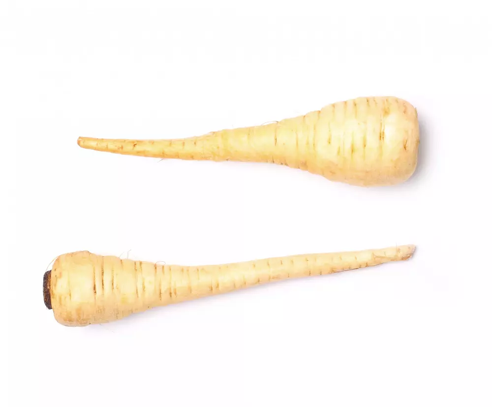 Paternak