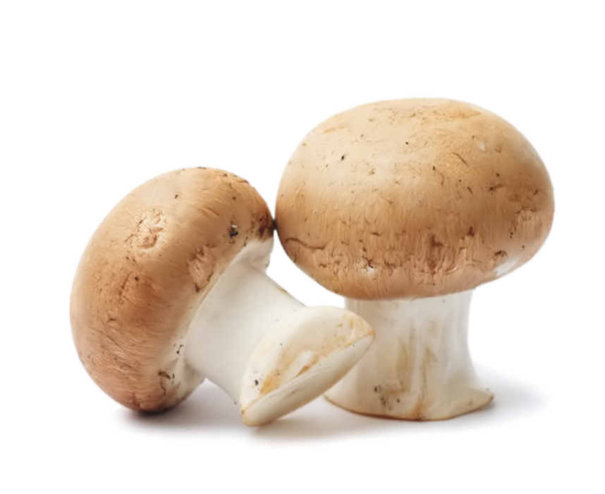 Pieczarki brązowe